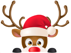 XMAS Reh